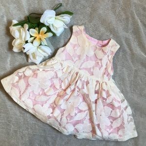Lace pink baby girl dress